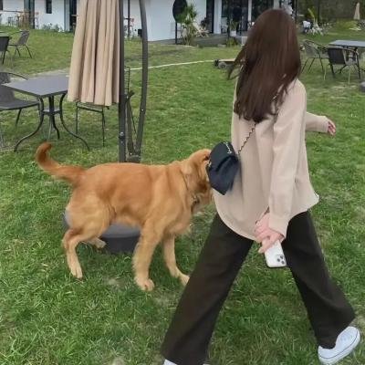 天地孩儿